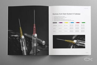 藍瑪設計 專業品牌設計服務，助力企業騰飛